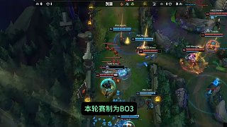 流量导向